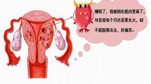 上海三代试管包生儿子-上海辅助生殖中心