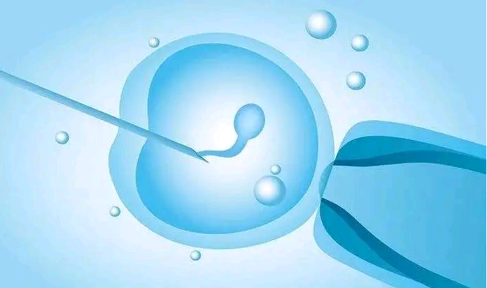 上海助孕网排名第一,上海试管婴儿医疗机构哪家好？,上海做试管的机构如何评