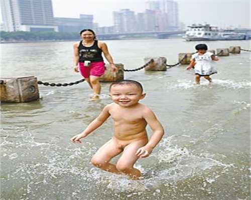 上海代孕费用为多少_上海代孕费用一览_孕妇能不能吃鹅