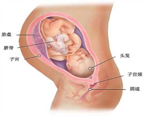 上海代生是什么意思_不孕不育供卵试管助孕_育儿-备孕期间男女注意事项(备孕