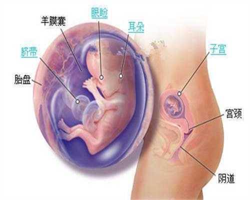 上海做供卵移植成功率高吗_上海供卵私立机构_关注不孕不育 让爱传递供卵联络
