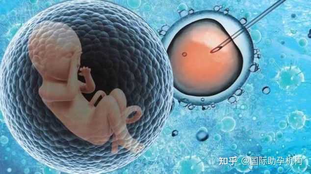 2022郑州供卵的私立机构最新发布，附供卵三代生男孩费用详情-去哪找代孕公司